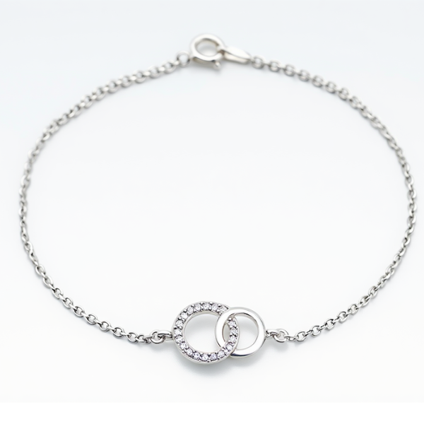 Pulseira Prata Circulo Duplo Cravejado - Laços Inquebraveis